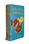 ESTUCHE BIBLIOTECA HOGWARTS