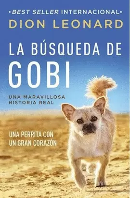 BUSQUEDA DE GOBI, LA