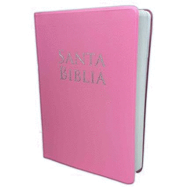 BIBLIA LETRA GRANDE