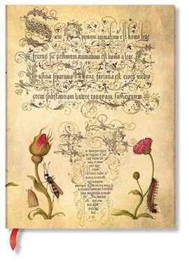 LIBRETA MIRA BOTANICA FLEMISH ROSE ULTRA CON LÍNEAS