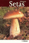 SETAS MINIGUIA