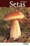 SETAS MINIGUIA