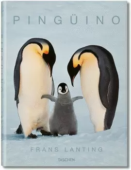 PINGÜINO