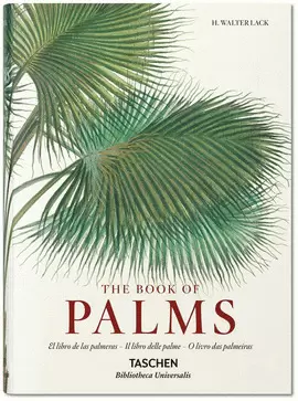 VON MARTIUS. EL LIBRO DE LAS PALMERAS
