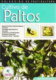 CULTIVO DE PALTOS
