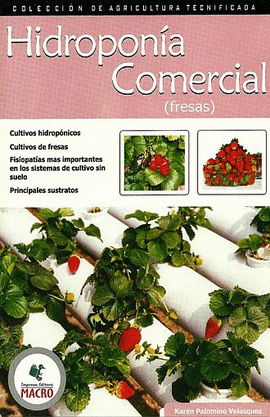 HIDROPONIA COMERCIAL - FRESAS