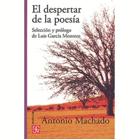 EL DESPERTAR DE LA POESÍA