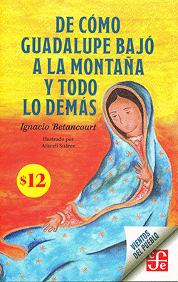 DE CÓMO GUADALUPE BAJÓ A LA MONTAÑA Y TODO LO DEMÁS
