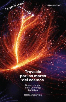 TRAVESÍA POR LOS MARES DEL COSMOS