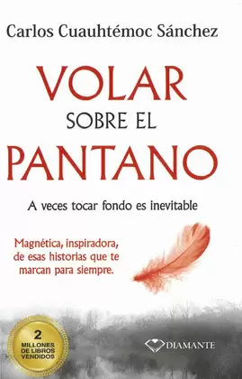 VOLAR SOBRE EL PANTANO