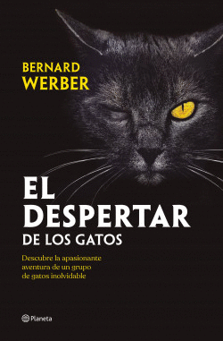 EL DESPERTAR DE LOS GATOS