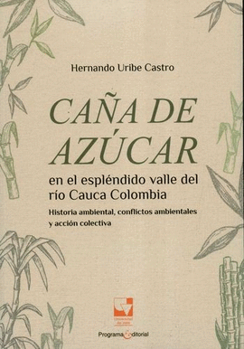 CAÑA DE AZÚCAR EN EL ESPLÉNDIDO VALLE DEL RÍO CAUCA COLOMBIA