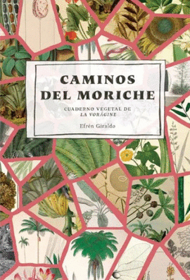CAMINOS DEL MORICHE
