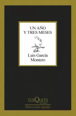 UN AÑO Y TRES MESES
