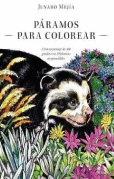 PARAMOS PARA COLOREAR