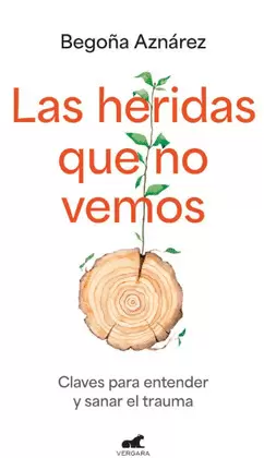 LAS HERIDAS QUE NO VEMOS