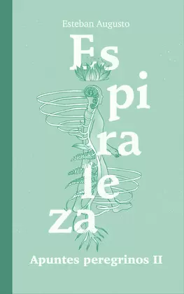 ESPIRALEZA. APUNTES PEREGRINOS II