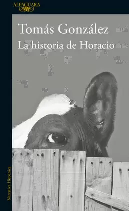 LA HISTORIA DE HORACIO