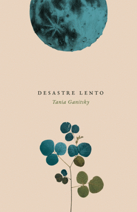 DESASTRE LENTO