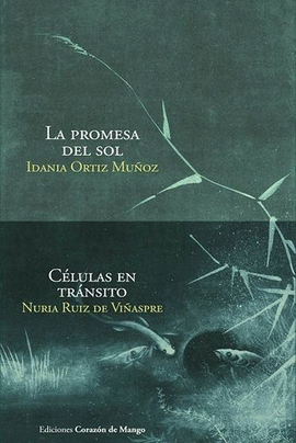 LA PROMESA DEL SOL / CÉLULAS EN TRÁNSITO