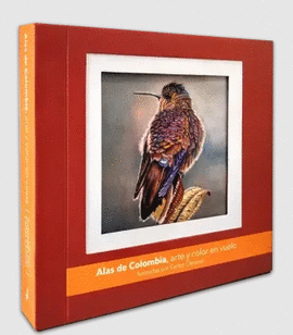 ALAS DE COLOMBIA, ARTE Y COLOR EN VUELO