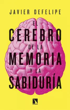 EL CEREBRO DE LA MEMORIA Y LA SABIDURÍA