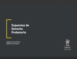 ESQUEMAS DE DERECHO PROBATORIO