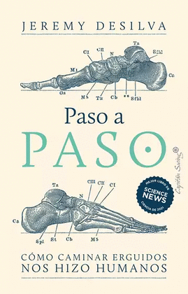 PASO A PASO. CÓMO CAMINAR ERGUIDOS NOS HIZO HUMANOS