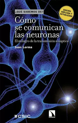 CÓMO SE COMUNICAN LAS NEURONAS. EL MILAGRO DE LA TRANSMISIÓN SINÁPTICA
