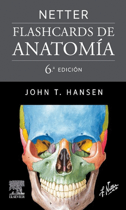 NETTER. FLASHCARDS DE ANATOMIA