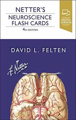 NETTER'S. NUEROSCIENCE FLASHCARDS