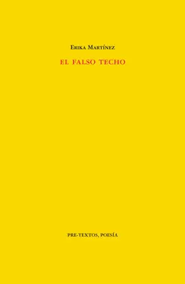 EL FALSO TECHO