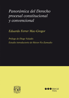 PANORAMICA DEL DERECHO PROCESAL CONSTITUCIONAL Y CONVENCIONAL