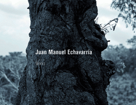 JUAN MANUEL ECHAVARRÍA. WORKS