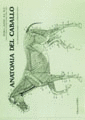 ANATOMÍA DEL CABALLO