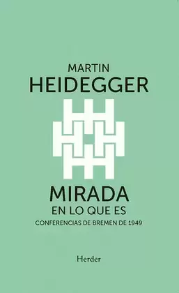 MIRADA EN LO QUE ES