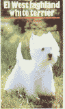 EL WEST HIGHLAND WHITE TERRIER