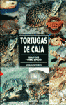 TORTUGAS DE CAJA