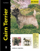 CAIRN TERRIER