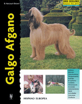 GALGO AFGANO