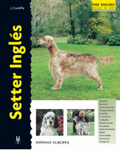 SETTER INGLÉS