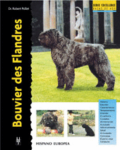 BOUVIER DES FLANDRES