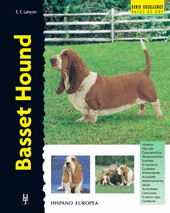 BASSET HOUND