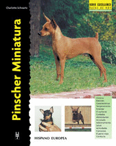 PINSCHER MINIATURA