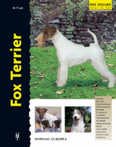 FOX TERRIER