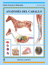 ANATOMÍA DEL CABALLO