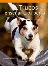 TRUCOS PARA ENSEÑAR A TU PERRO