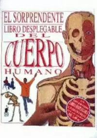 SORPRENDENTE LIBRO DESPLEGABLE DEL CUERPO HUMANO