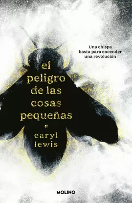 EL PELIGRO DE LAS COSAS PEQUEÑAS