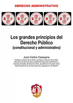 LOS GRANDES PRINCIPIOS DEL DERECHO PÚBLICO